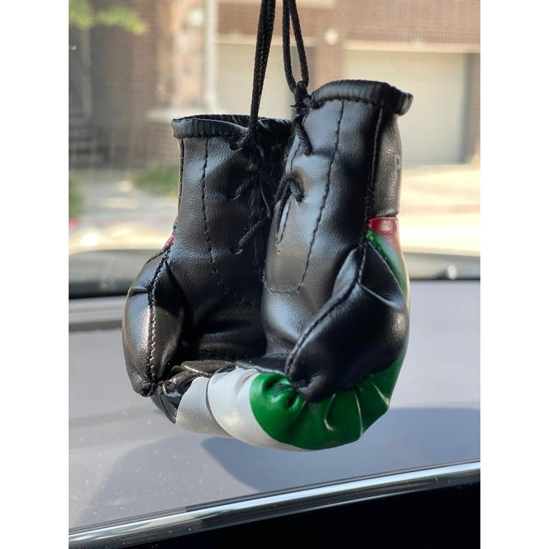 Palestine Mini Boxing Gloves for Hanging